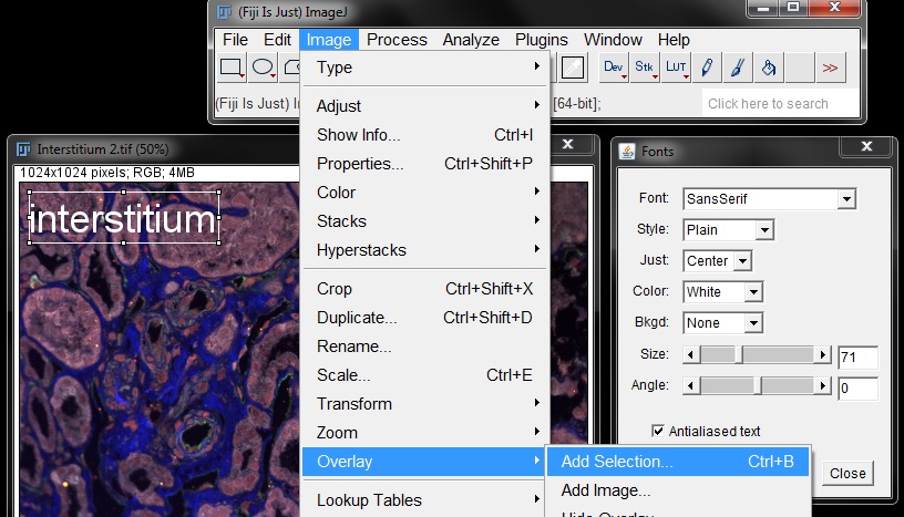 PART 2: BASIC NAVIGATION IN FIJI · Fiji Basics