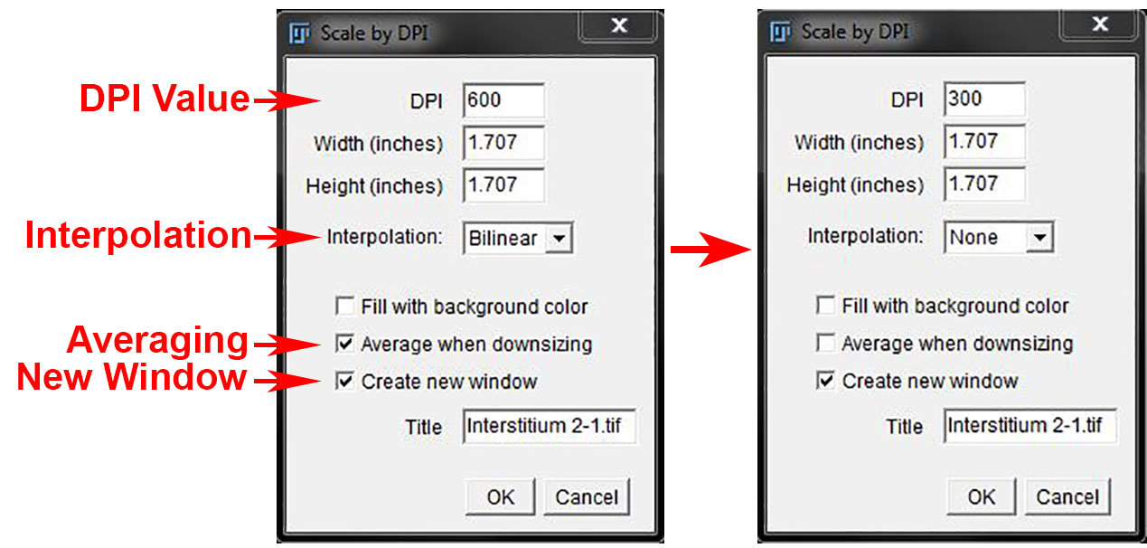 PART 4: SCALES AND SIZING · Fiji Basics