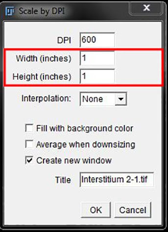 PART 4: SCALES AND SIZING · Fiji Basics