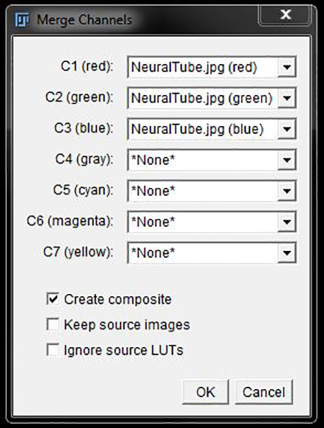 PART 5: CHANNELS AND COLOURS · Fiji Basics