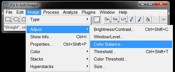 Imagej Color Balance PART 6: IMAGE ADJUSTMENTS · Fiji Basics