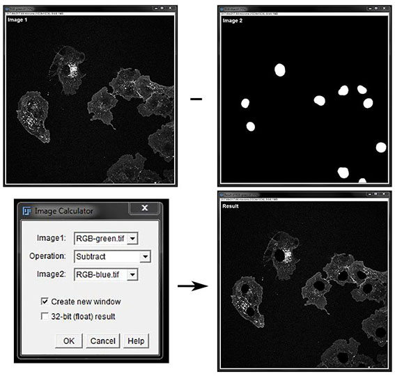 Image Filter Using Math PART 3: MASKS AND FILTERS · Fiji Intermediate